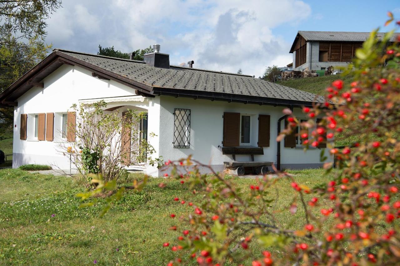 Ferienhaus Mit Garten Tgease Schilendra-Lantsch-Lenz-Lenzerheide Vila Exterior foto